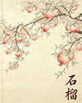 石榴